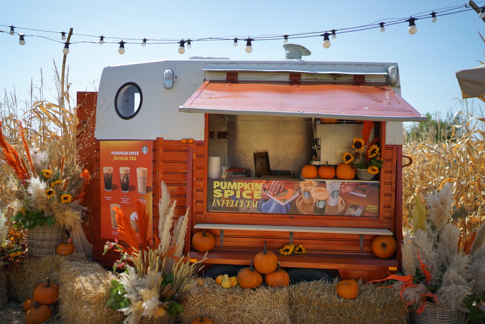 The orange-and-white caravan, turned into a Starbucks Pumpkin Spice bar on hay bales at the edge of the corn.