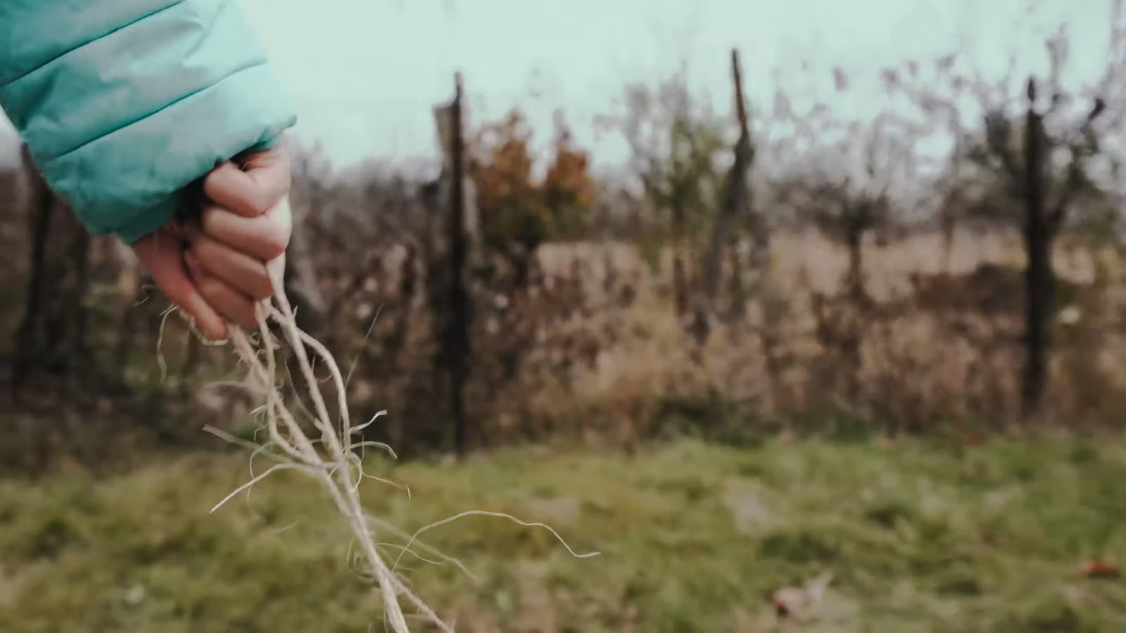 A child's hand on the string that drags the cardboard sack.